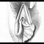 Betty Dodson y sus ilustraciones de vulvas