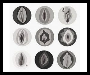 Vulvas y el clítoris, diseño de perfección